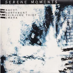 dragon 0.27 V / A - Serene Moments 2x7" EP