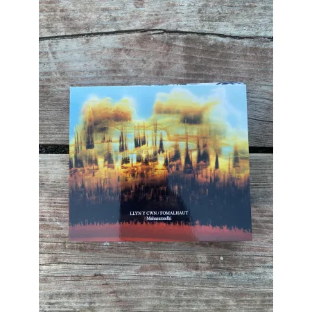 dragon 0.47 LLYN Y CWYN / FOMALHAUT - Mahasmadhi limited box CD