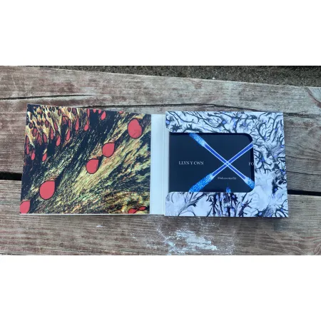 dragon 0.47 LLYN Y CWYN / FOMALHAUT - Mahasmadhi limited box CD