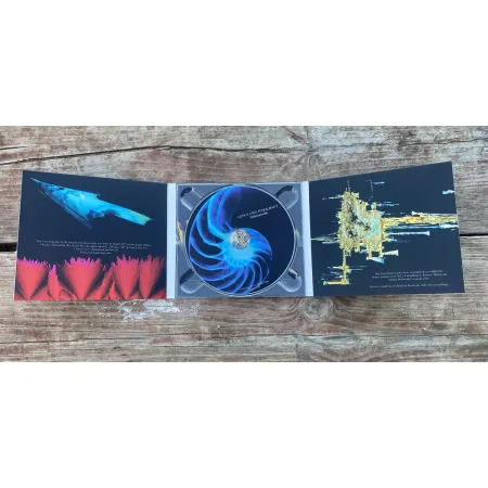 dragon 0.47 LLYN Y CWYN / FOMALHAUT - Mahasmadhi digipack CD