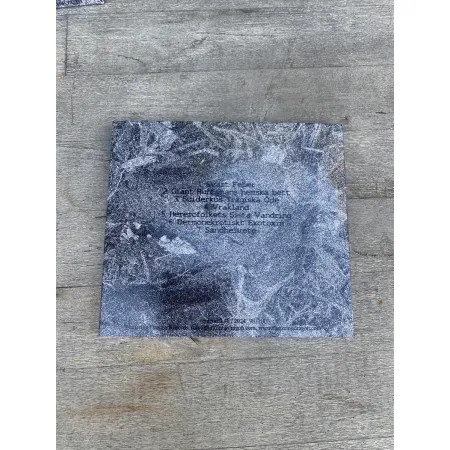 dragon 0.48 Hexophthalma - K.J. Anderssons Mardröm gigipack CD