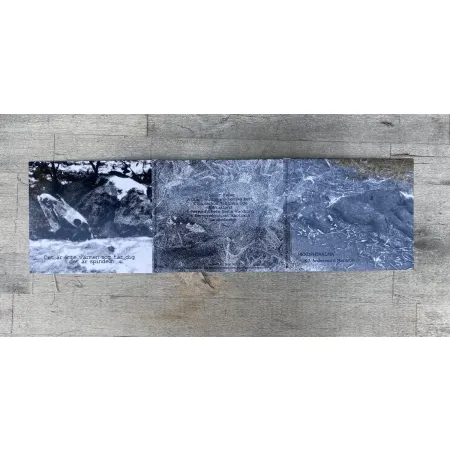 dragon 0.48 Hexophthalma - K.J. Anderssons Mardröm gigipack CD