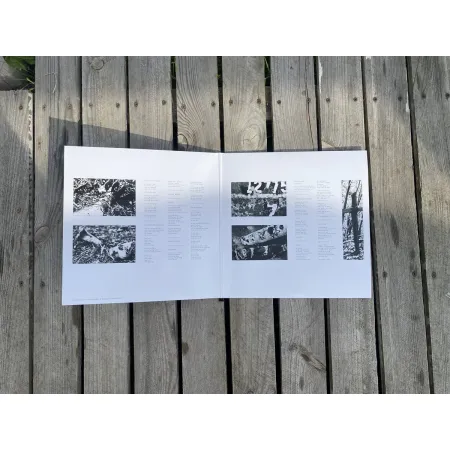 dragon 0.42 Ditch State - Purge limited box CD