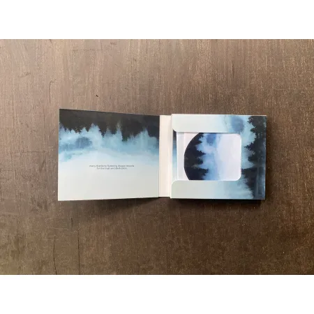 dragon 0.61 A Challenge Of Honour - The devil and his servants limited box CD